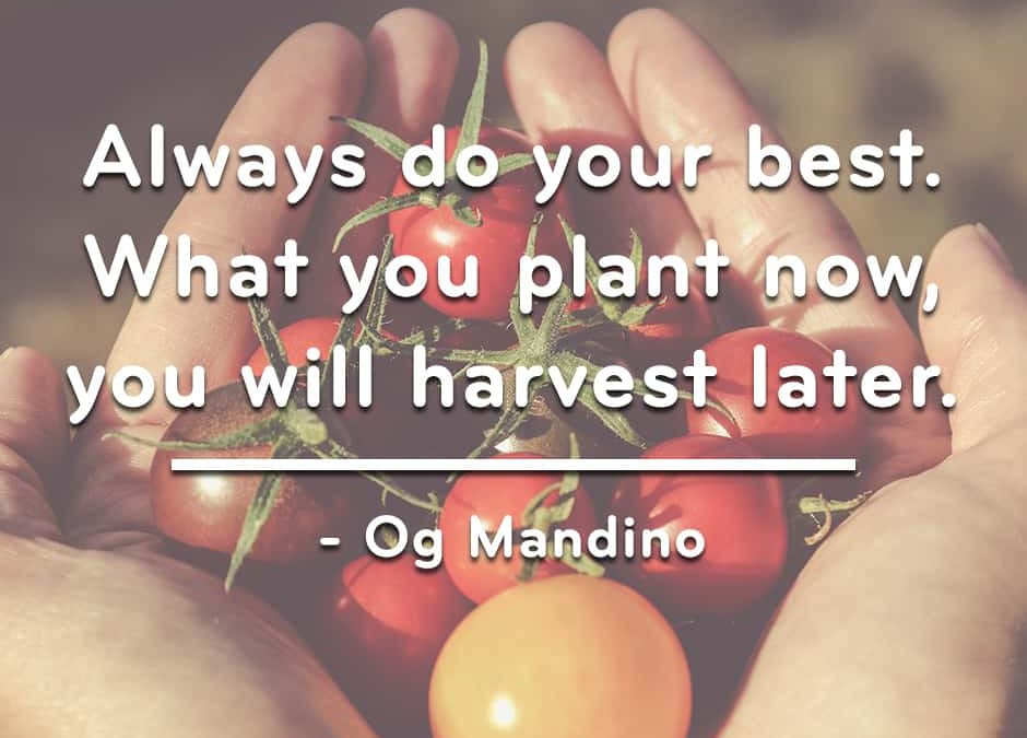 Harvest the Benefits