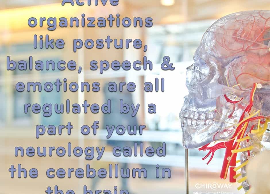 Posture, Balance, Speech and Emotions Impact Your Quality of Life