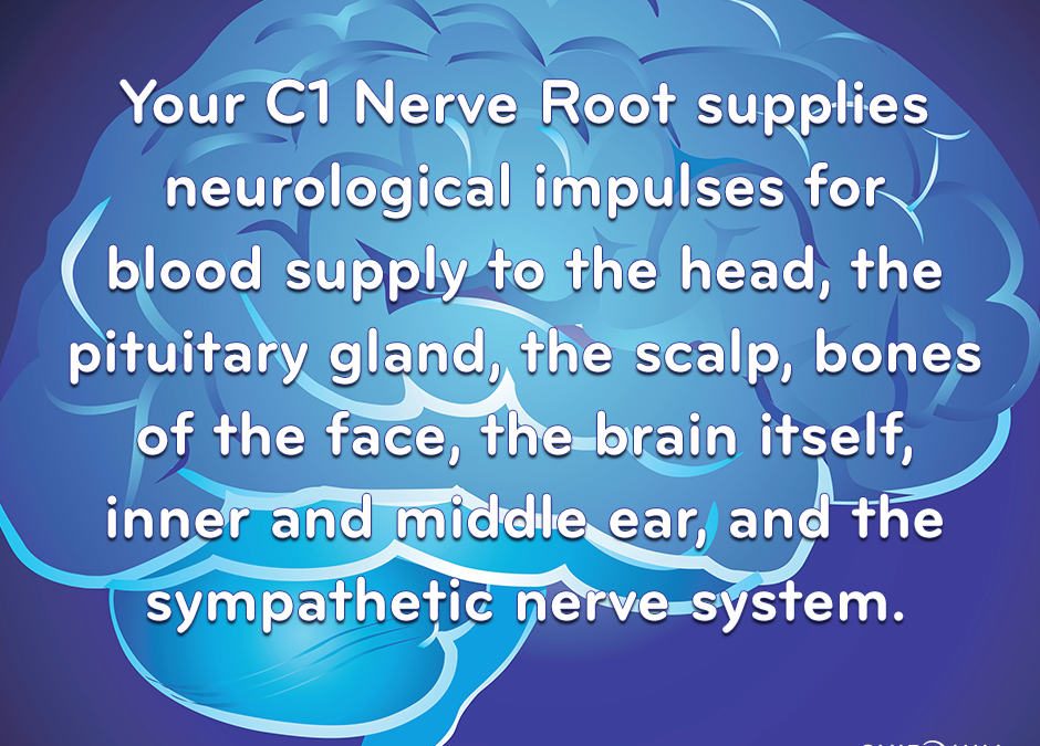 C1 Neurological Function