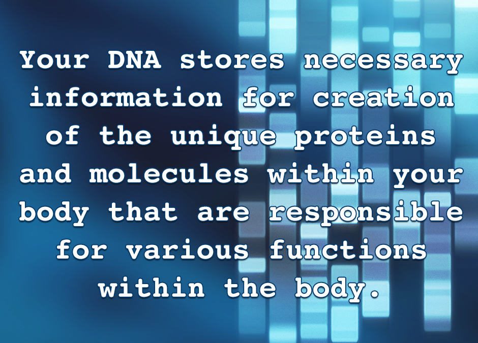 DNA Function