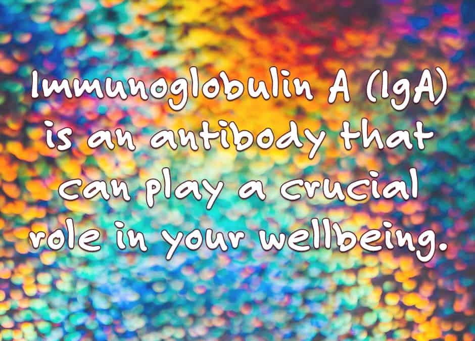 Immunoglobiulin A