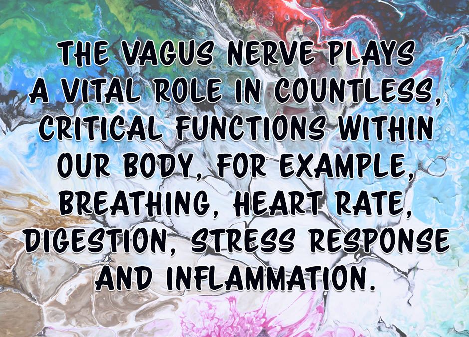 What’s your Vagus Nerve?