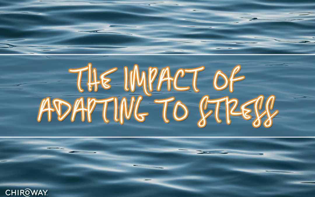 The Impact of Adapting to Stress