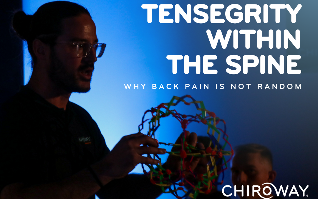 Tensegrity Within the Spine: Why Back Pain Is Not Random